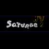 Saturne Logo