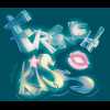 French Kiss Title