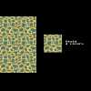 Texture 3