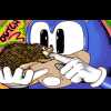 Sonic meets the hedgehog